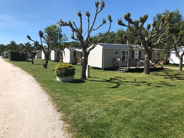 Des vacances en pleine nature, au cœur du Parc Naturel Régional du Médoc 